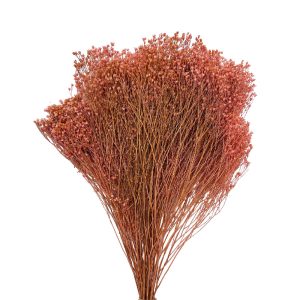 Broom bloom grass vintage ροζ 40-50γρ.