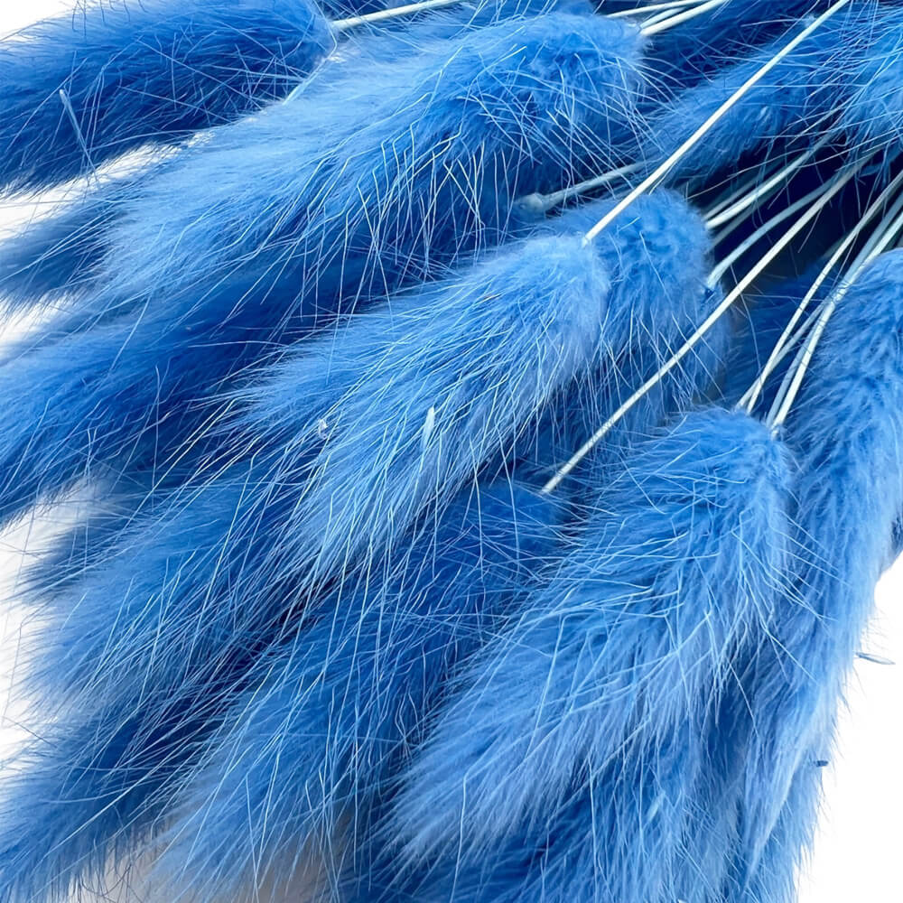 Bunny tails μπλε μπουκέτο 50-55 τμχ