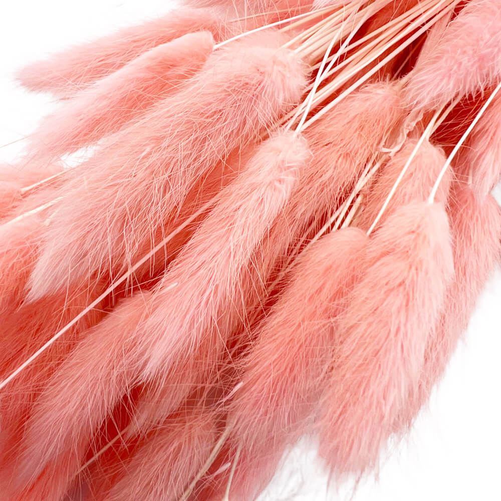 Bunny tails ροζ μπουκέτο 50-55 τμχ