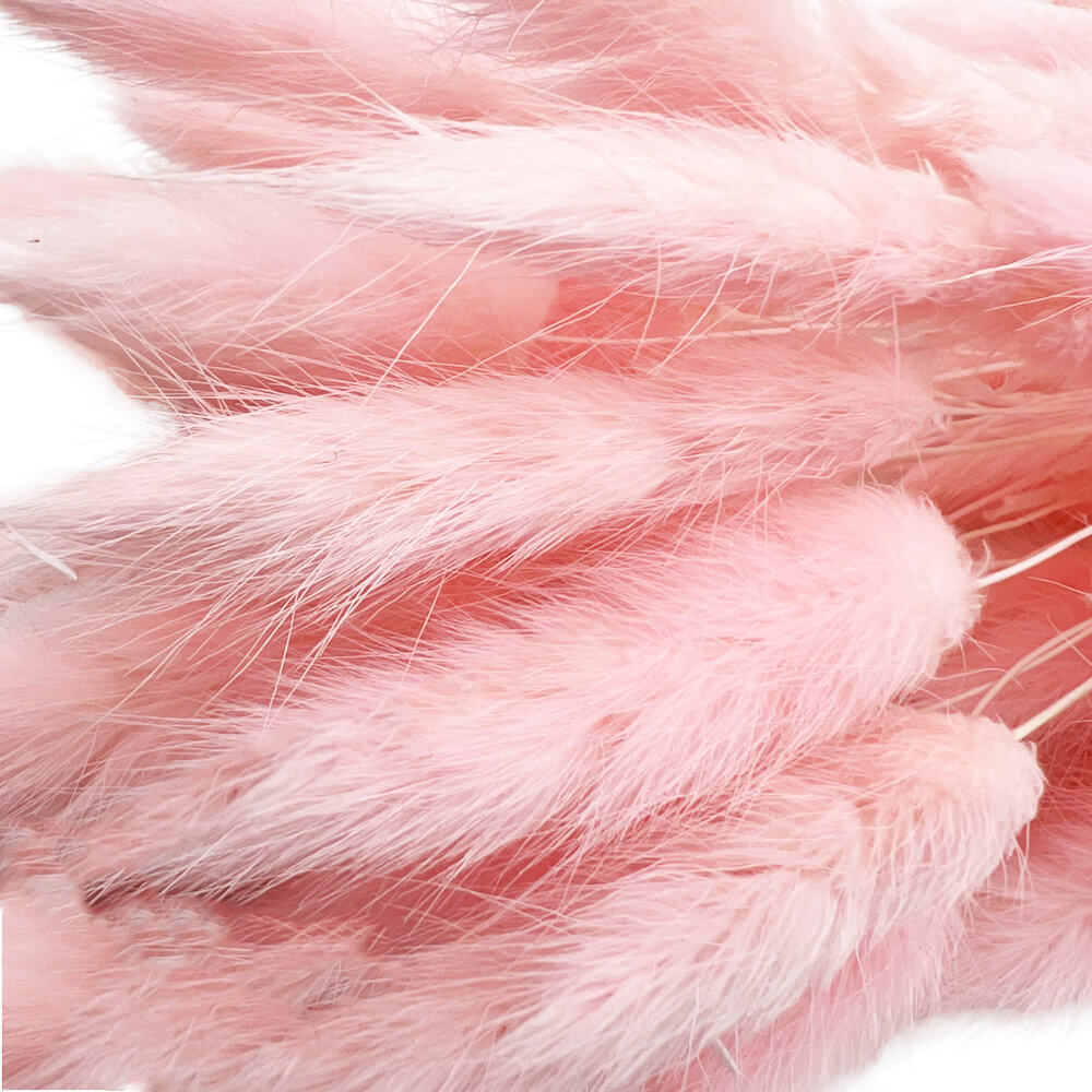 Bunny tails ανοιχτό ροζ μπουκέτο 50-55 τμχ