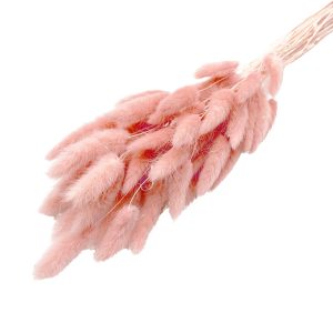 Bunny tails rose pink μπουκέτο 50-55 τμχ