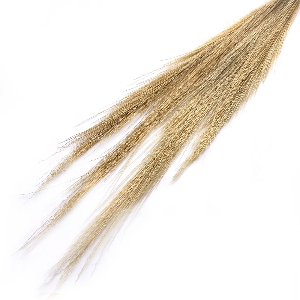 Palm broom grass date λευκό δέσμη 5 τμχ