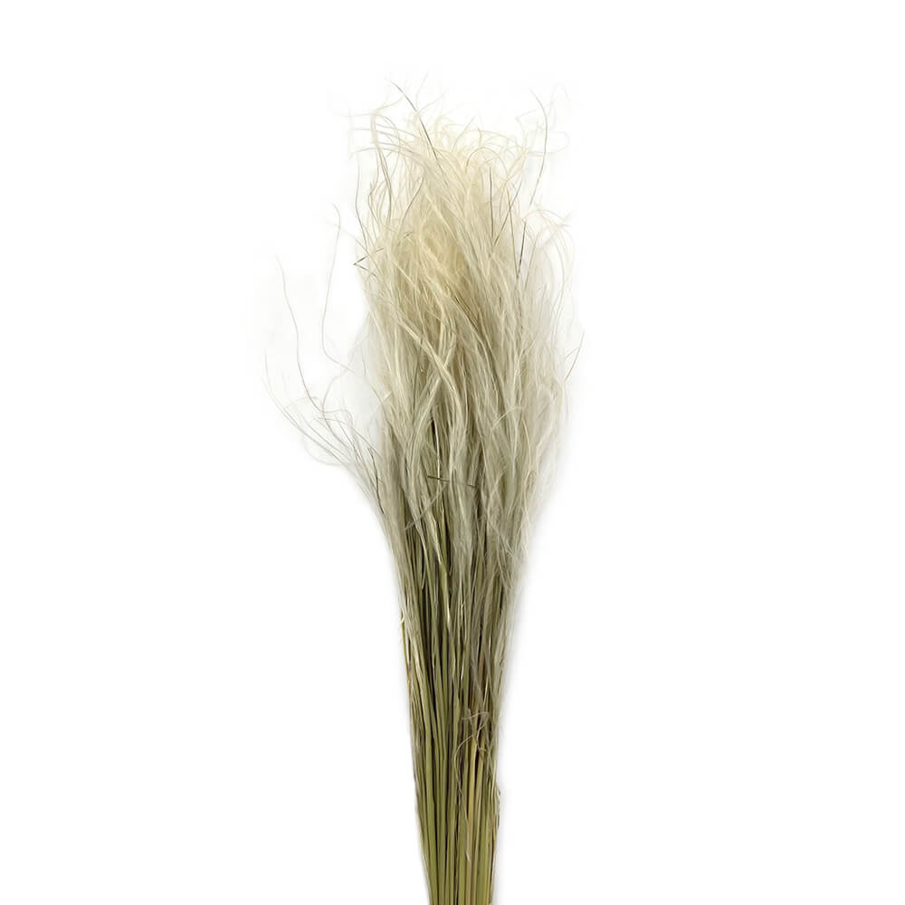Stypa feather grass φυσικό μπουκέτο