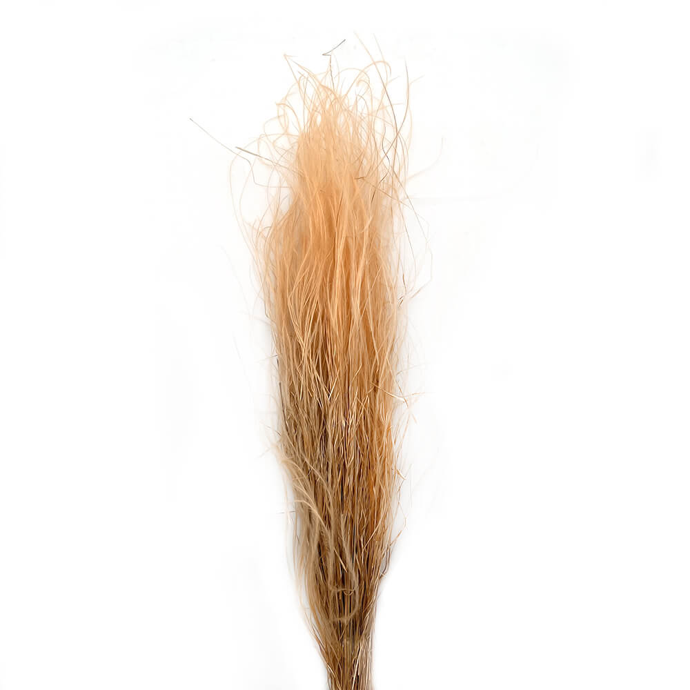 Stypa feather grass φυσικό μπουκέτο