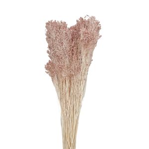 Broom bloom grass απαλό ροζ 40-50γρ.