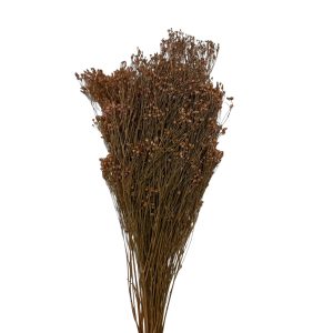 Broom bloom grass καφέ 40-50γρ.