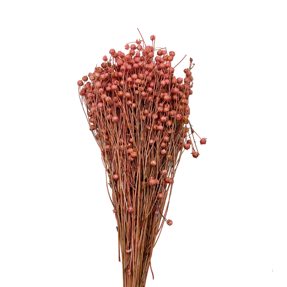 Linum flax μπουκέτο κοραλί