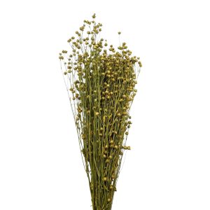 Linum flax φυσικό μπουκέτο 100γρ.