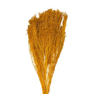 Broom bloom grass αποχυμωμένο κίτρινο σαφράν 50-70γρ.