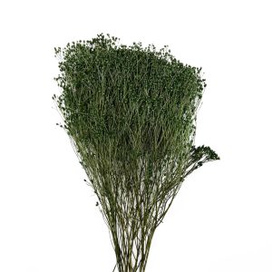 Broom bloom grass αποχυμωμένο πράσινο 50-70γρ.