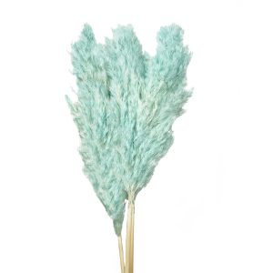 Pampas grass mini ανοιχτό γαλάζιο Tiffany δέσμη 3 τμχ