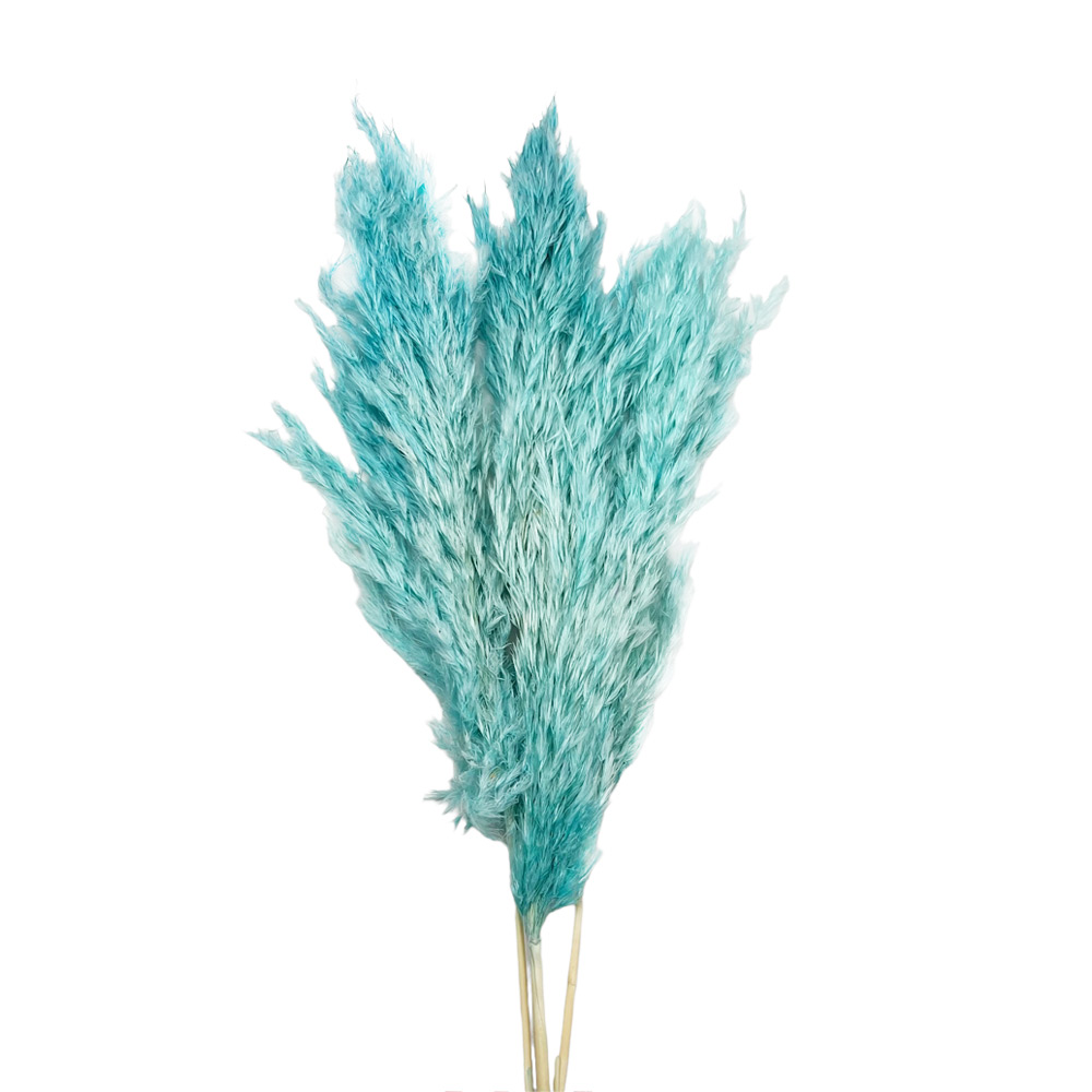 Pampas grass mini γαλάζιο δέσμη 3 τμχ