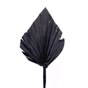 Φύλλο φοίνικα φυσικό large 55-60cm