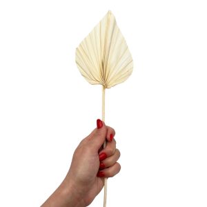 Φύλλο φοίνικα μπεζ palm spear small 35-40cm