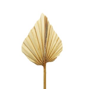 Φύλλο φοίνικα μπεζ palm spear mini 35-40cm