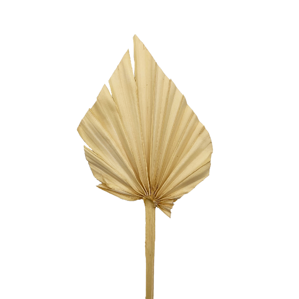 Φύλλο φοίνικα ανοιχτό σομόν palm spear mini 35-40cm