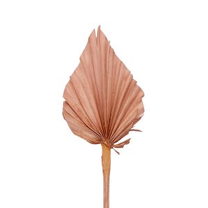 Φύλλο φοίνικα old pink palm spear small 35-40cm