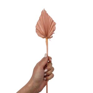 Φύλλο φοίνικα old pink palm spear small 35-40cm