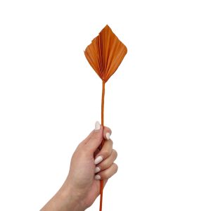 Φύλλο φοίνικα terracotta palm spear mini 35-40cm